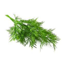 Herbs, Dill - Fresh 10g