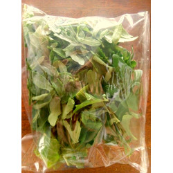 Rocket / Rucola - 100g
