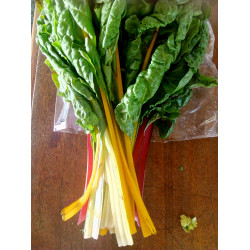 Spinach Bright Lights Chard Mix - 300g
